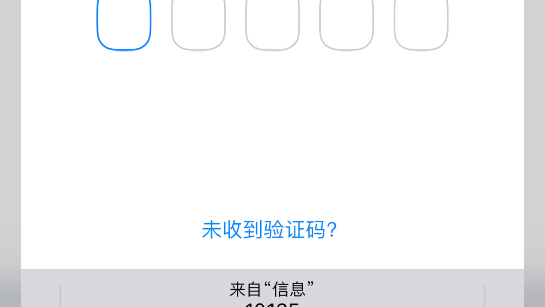 纸飞机收不到86短信验证怎么解决,纸飞机app为什么我的手机号不发验证码