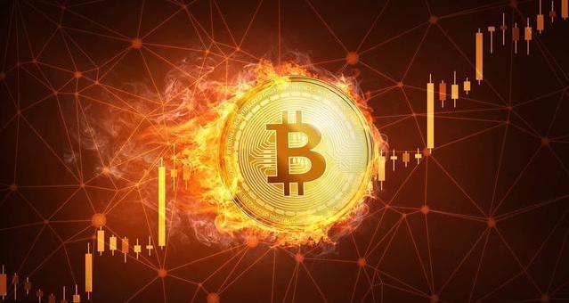token钱包官网客服,tokenpocket钱包客服