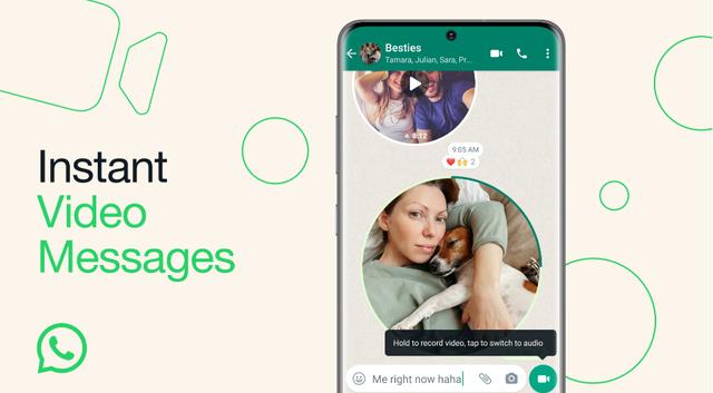whatsapp下载app,whatsapp下载安卓官网