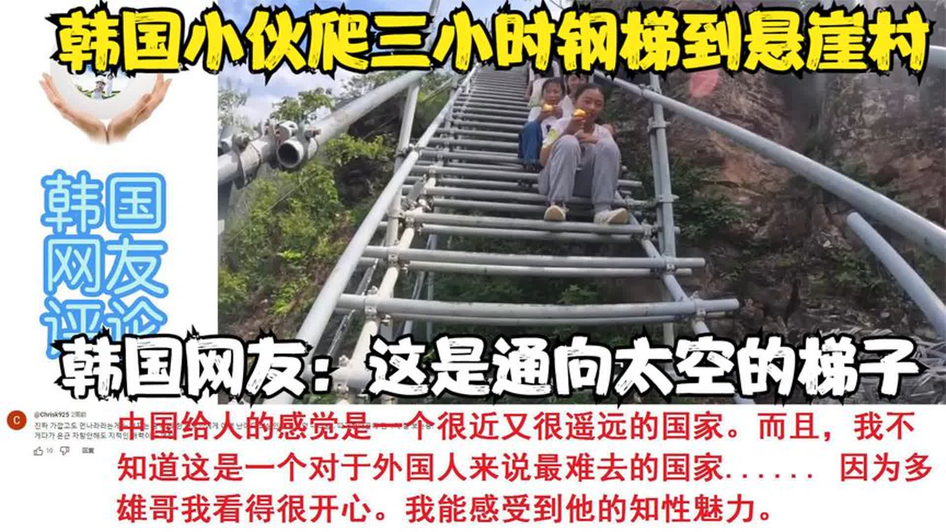 网友说的梯子,网友说的梯子掉了是什么意思