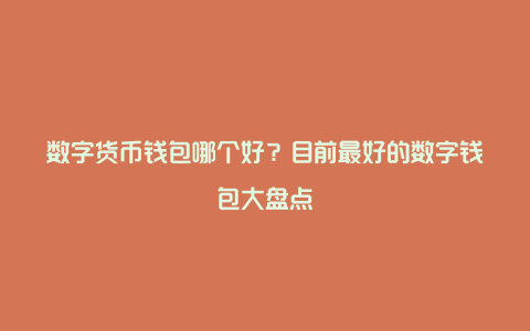 虚拟币电子钱包哪个好,虚拟币电子钱包哪个好一些