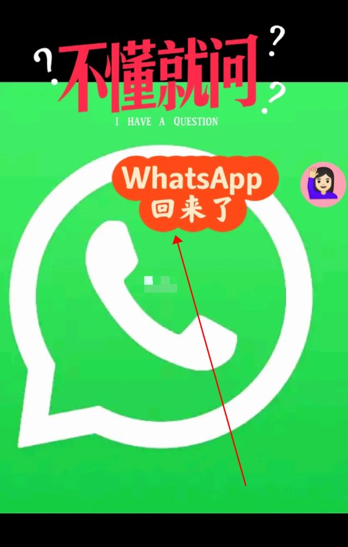 whatsapp安卓版免费,whatsapp安卓版免费安装