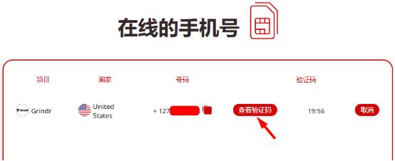 skype在线登录,skype软件怎么登录
