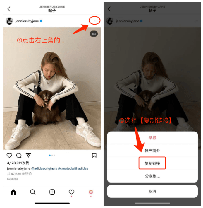 ins软件下载,ins软件下载荣耀版
