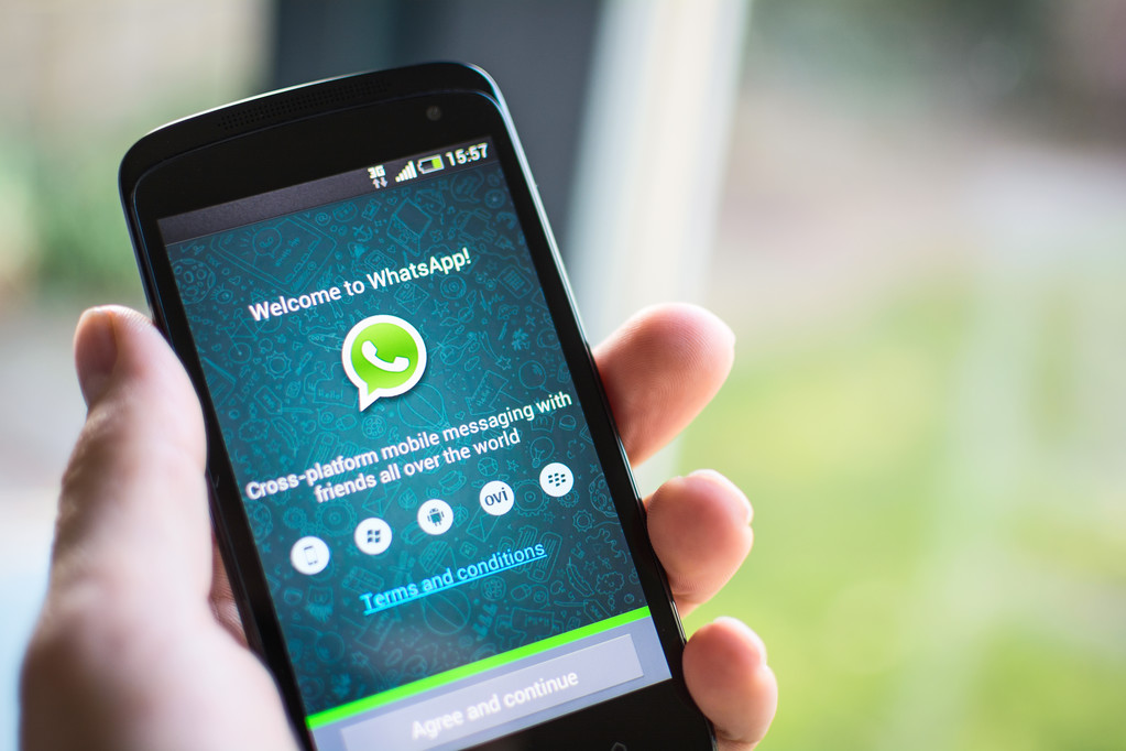 whatsapp手机端,whatsapp手机端怎么自动翻译