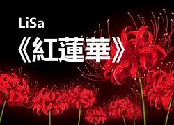 红莲花音译中文,红莲华中文歌词谐音