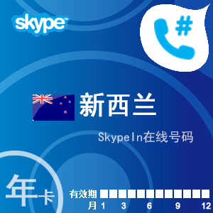 skype官网充值卡,skype充值多久到账