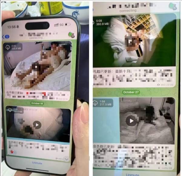 telegeram电报群,telegeram电报资源群排行