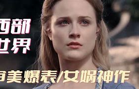 西部世界梯子网址,西部世界梯子怎么样