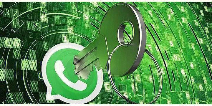 whatsapp照片原图,whatsapp的图片看一下就保存下来了