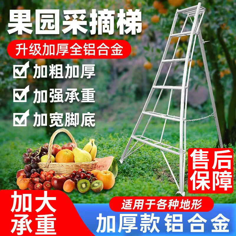 果树采摘梯子图片,果树专用梯子怎么制作