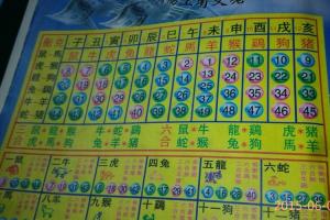 六字猜生肖,请问六字是什么生肖
