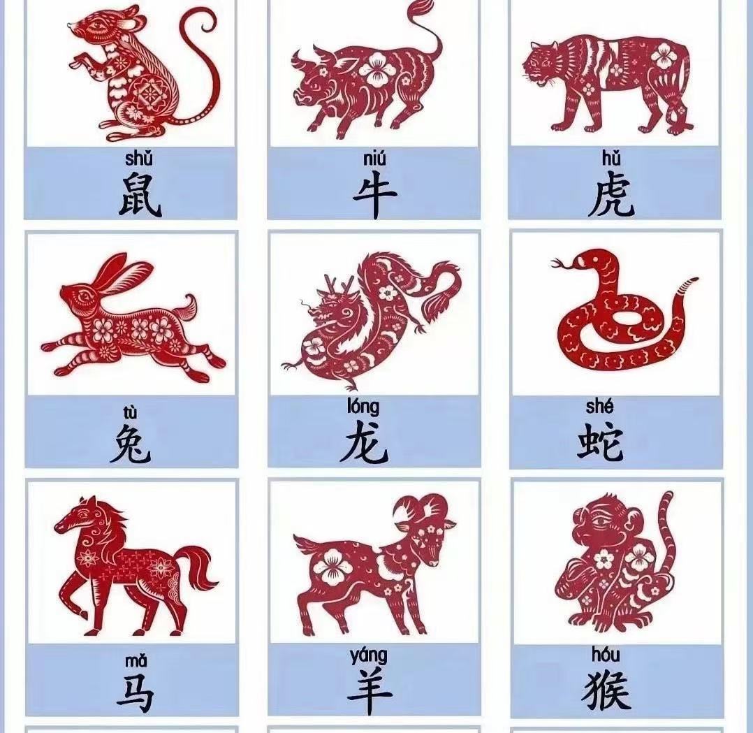 细羊足玄机最准确一肖,细羊足玄机是指什么生肖