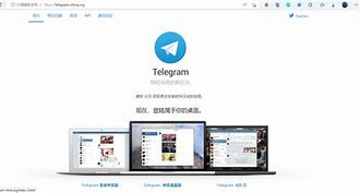 电报telegeram官网灰色,telegeram苹果官网下载入口