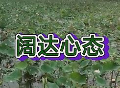 纸飞机注销流程,纸飞机怎么注销帐号