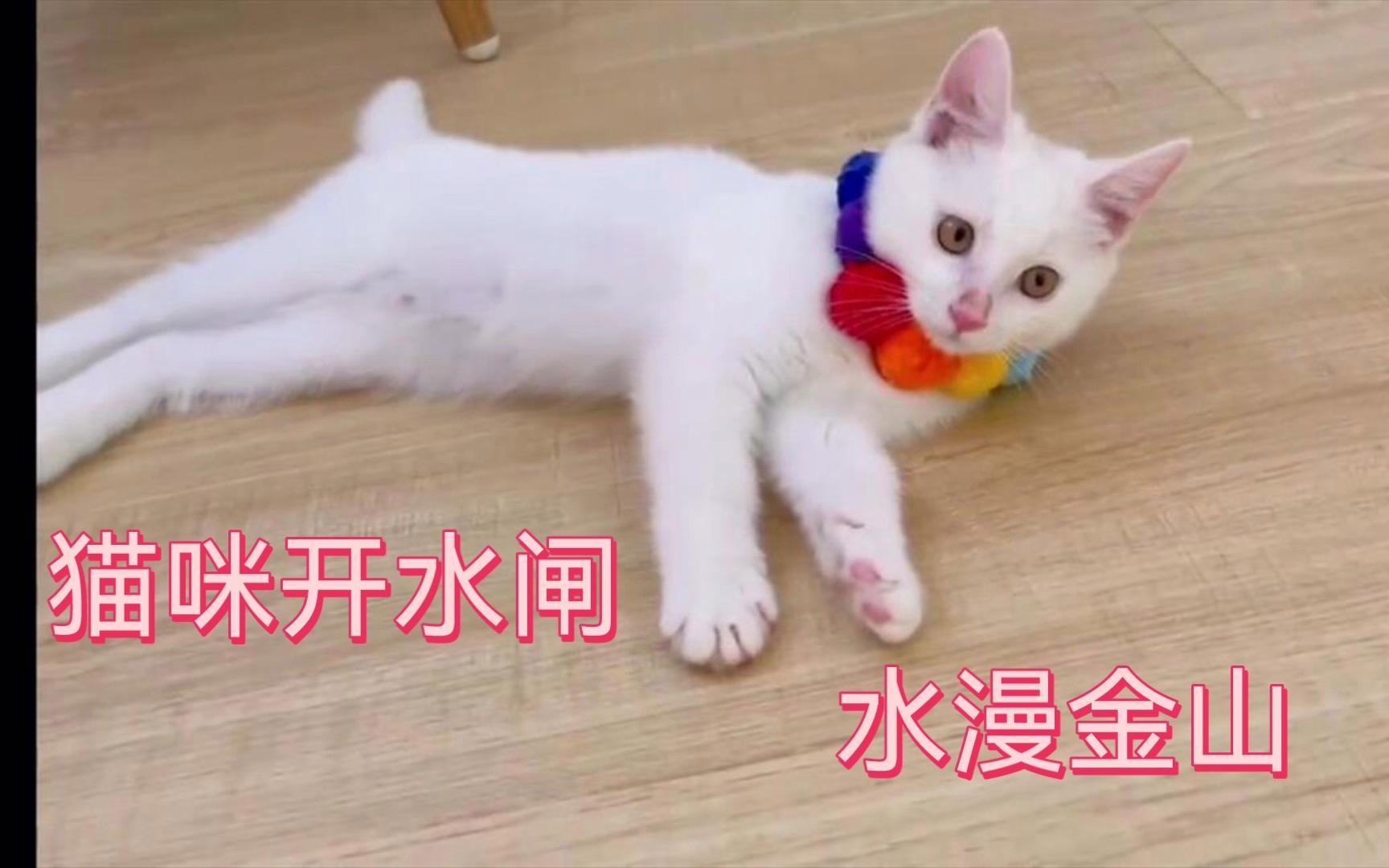 水满金山打一最佳动物,水满金山钱满仓,是什么生肖