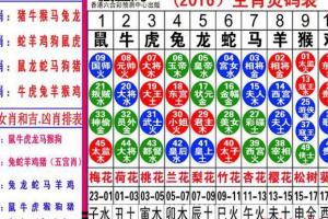 正确答案是什么生肖数字,正确答案是什么生肖数字的