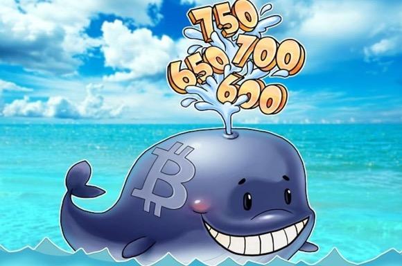 coinbase突然进不去了,coinbasepro平台登录不了