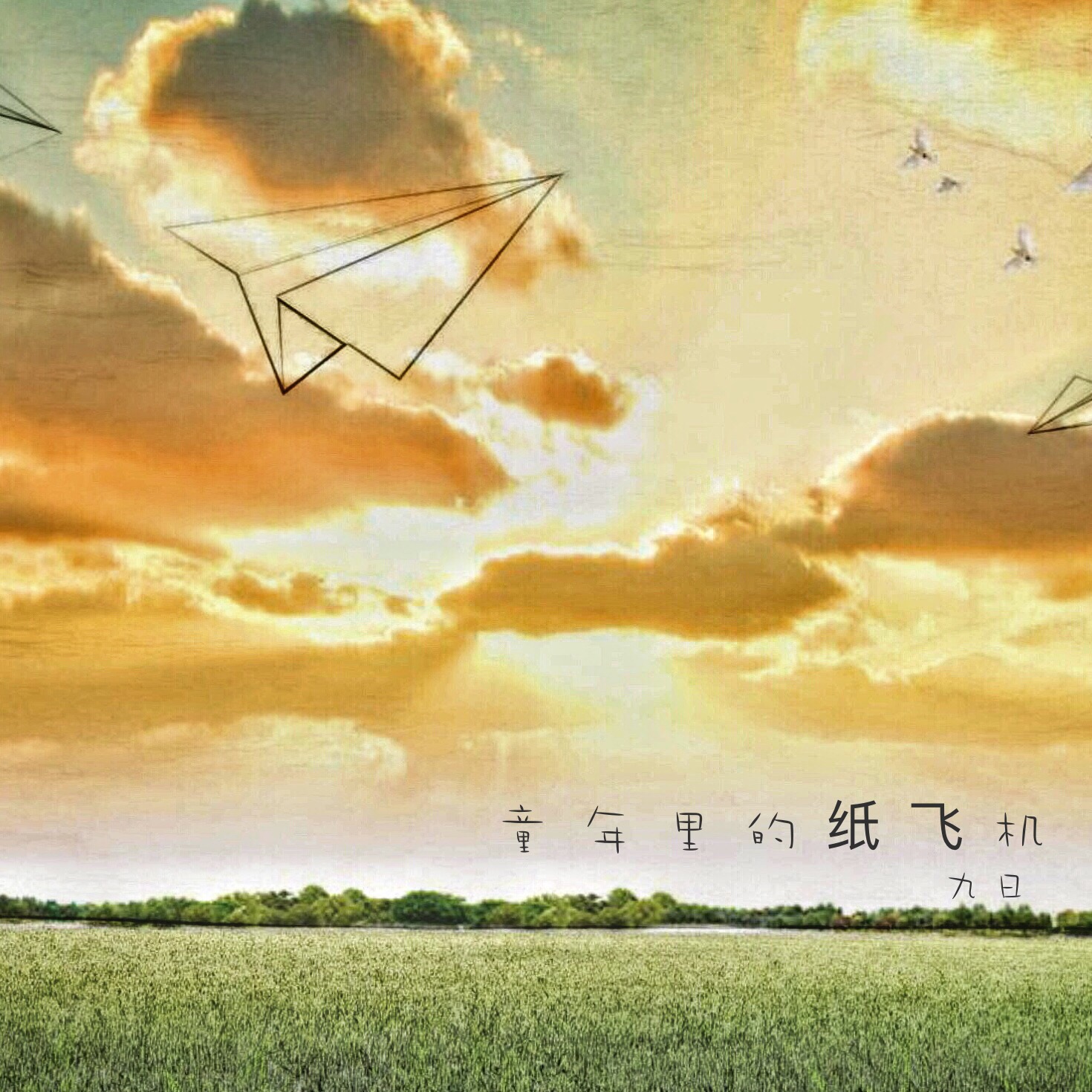 纸飞机免费社工库频道,纸飞机免费社工库频道链接