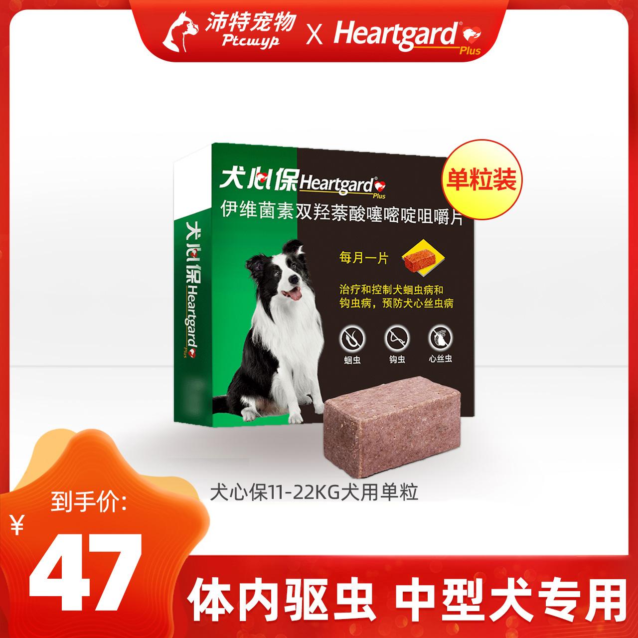 特狗官网地址,特狗官网地址谁有谢谢