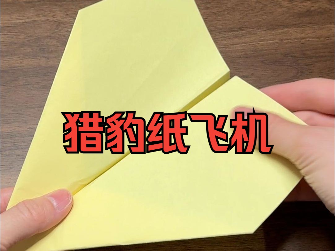 纸飞机加速器叫什么,纸飞机用什么加速器好