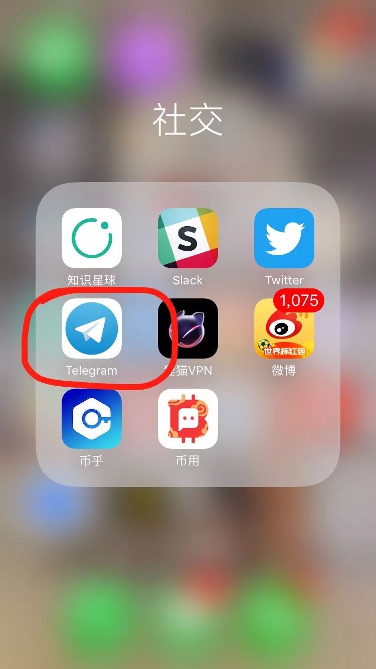 纸飞机telegreat账号购买,telegreat代理连接怎么购买