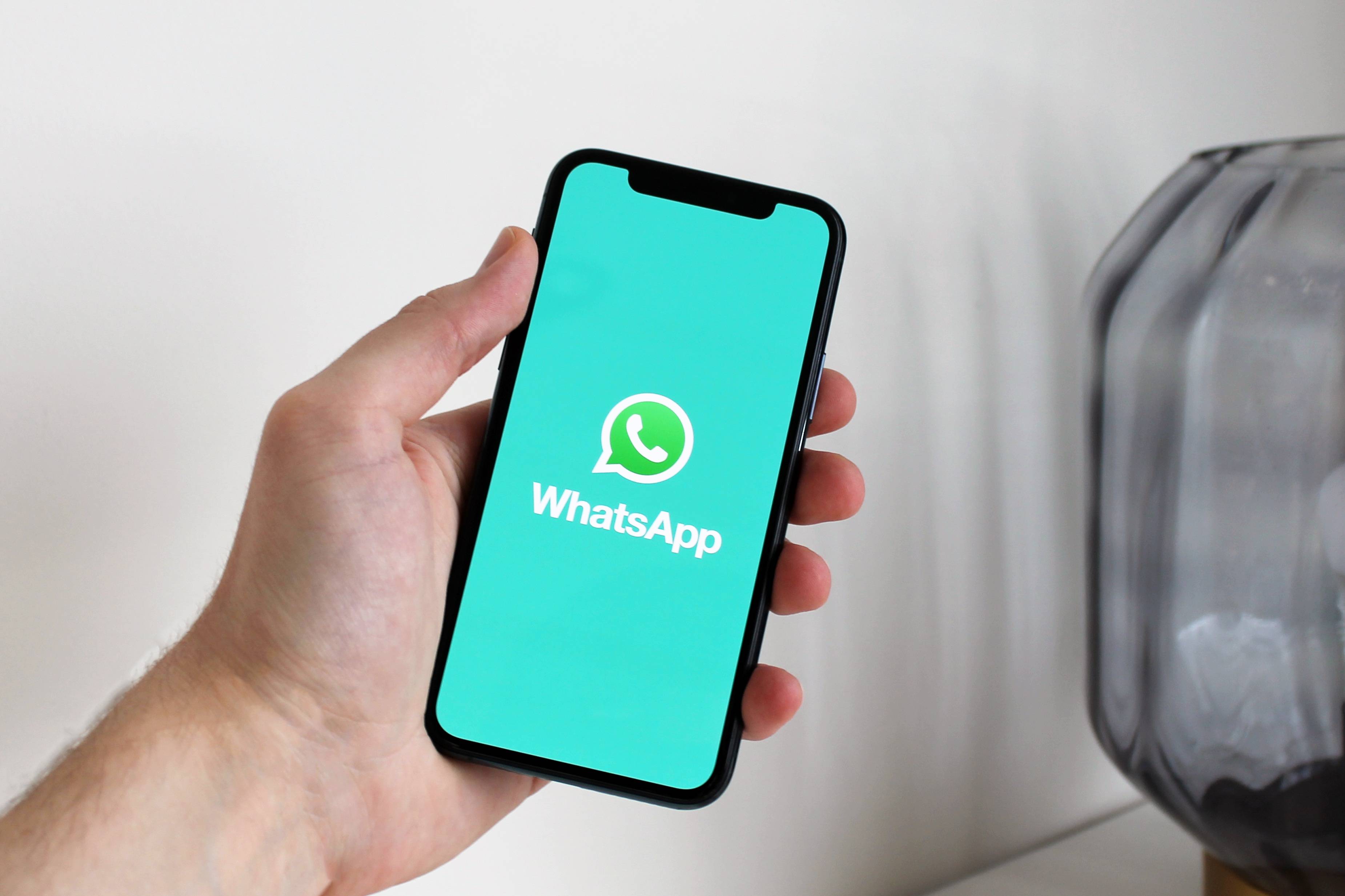 电脑上whatsapp,电脑上whatsapp自动保存的图片在哪