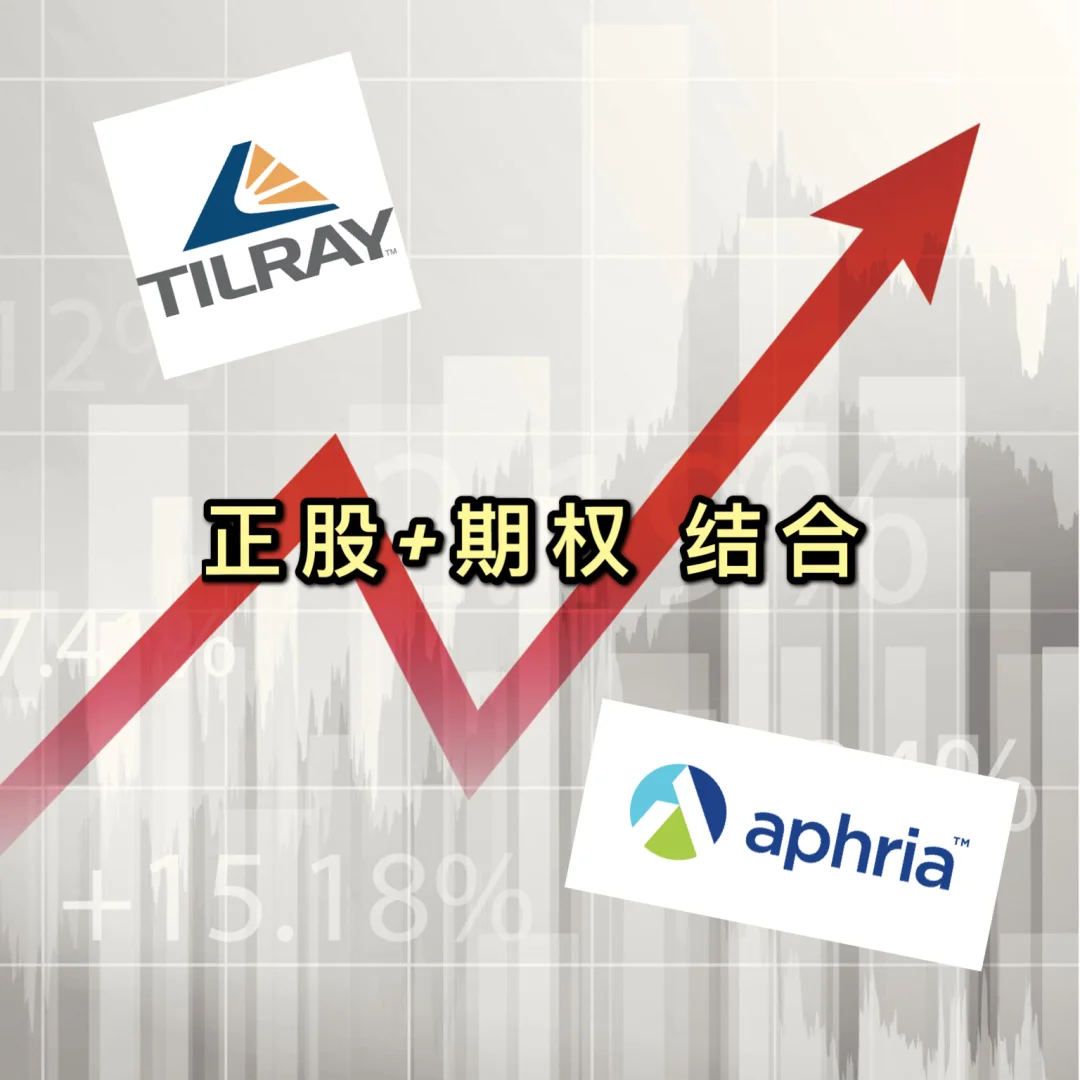 狗王币涨了6千多倍,狗王币涨了6千多倍怎么回事