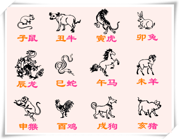 立春指的是哪个生肖,立春打一生肖或一数字