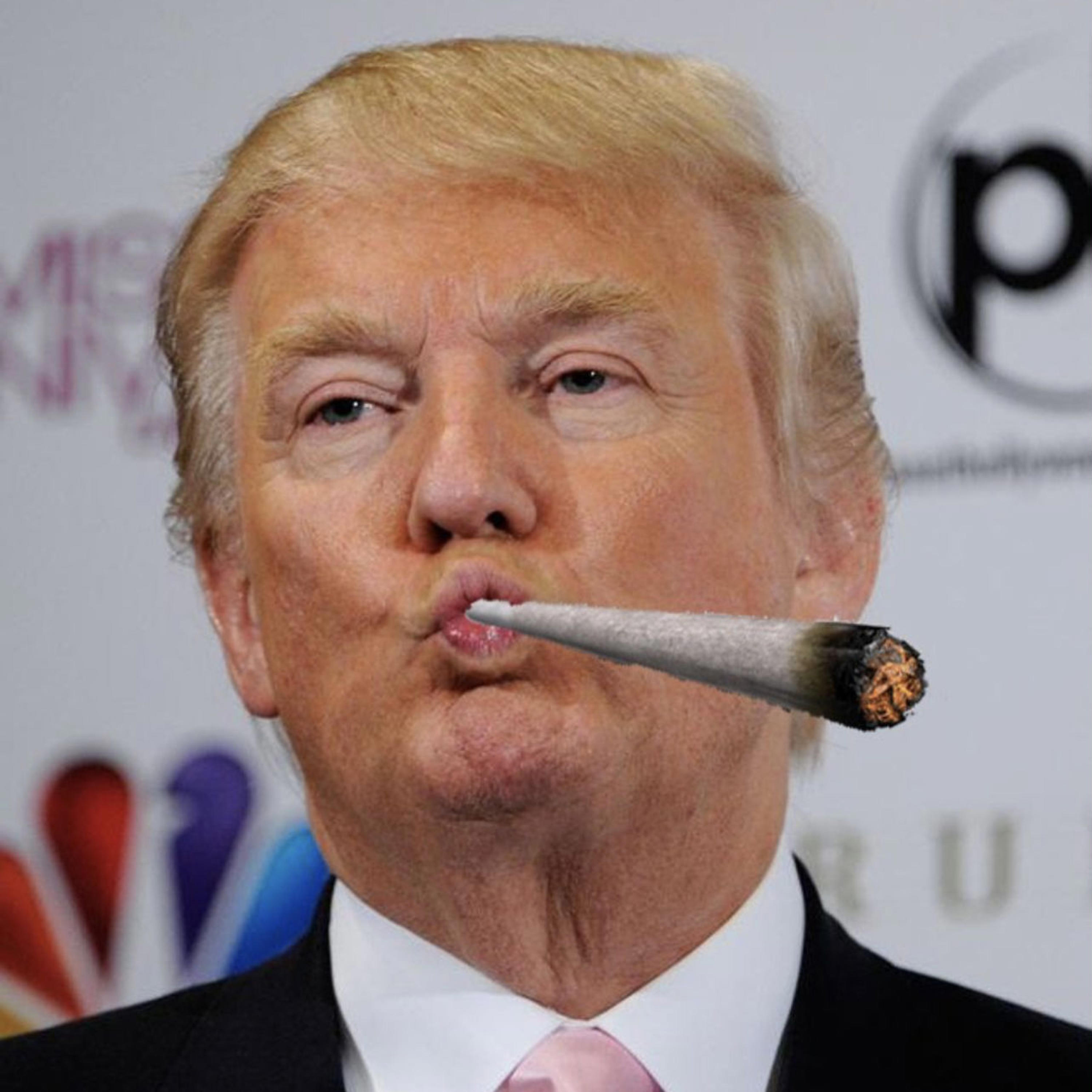 TRUMP币行情,trump币行情预测