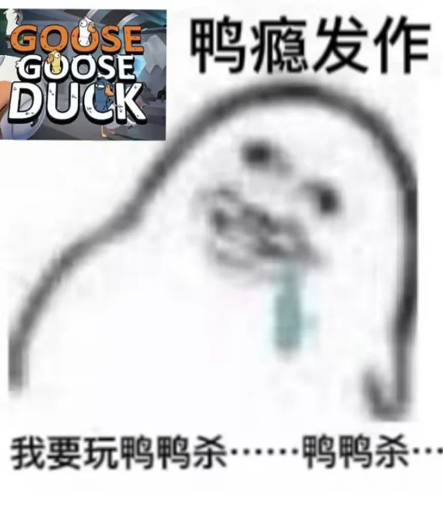 快鸭梯子加速器,快鸭梯子加速器是免费的吗