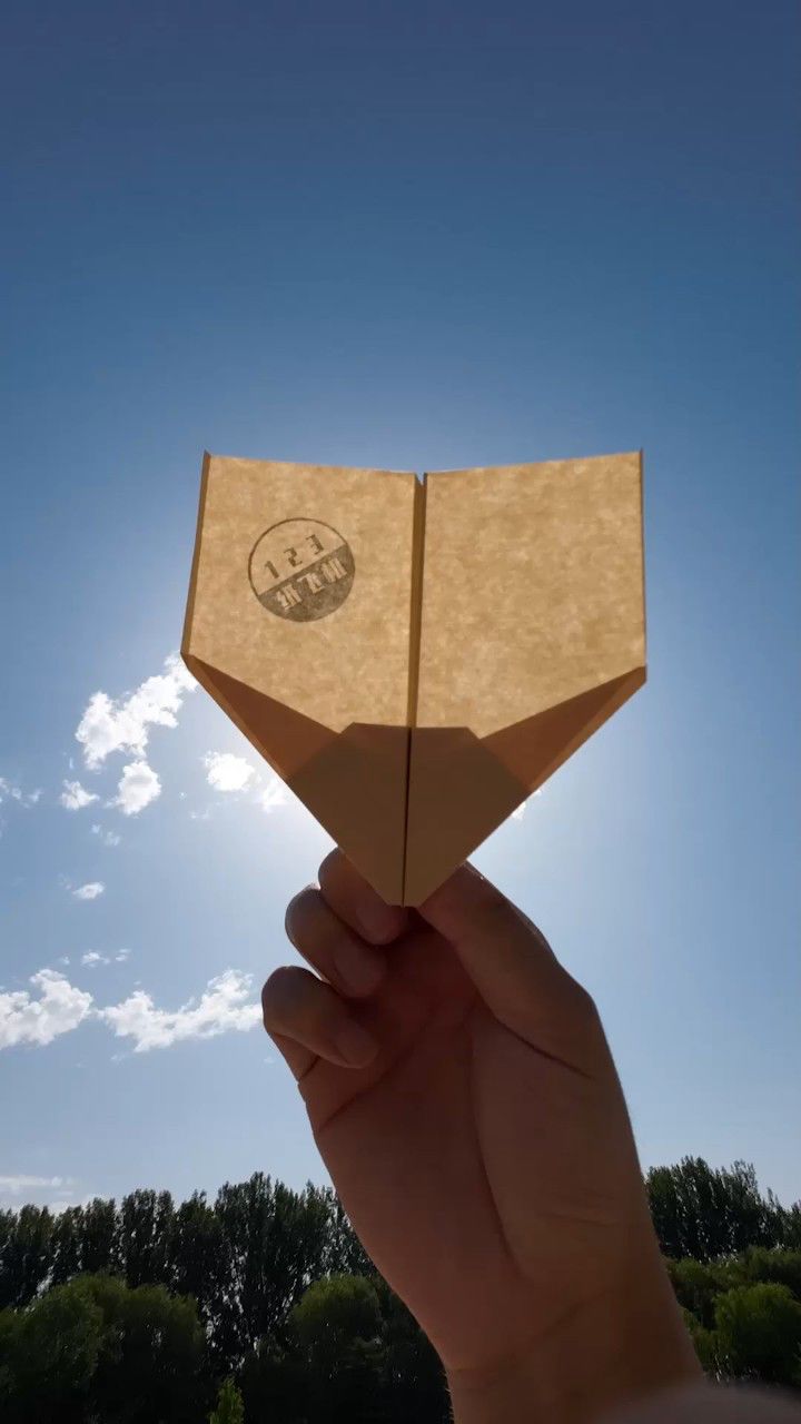 网上纸飞机是什么意思,网上说的纸飞机是什么意思
