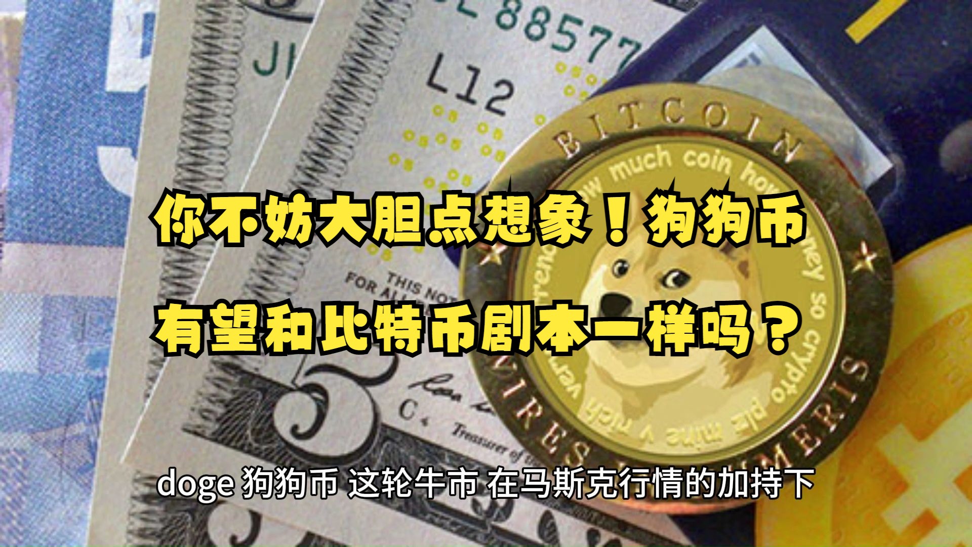 包含狗狗币最新消息及未来发展前景的词条