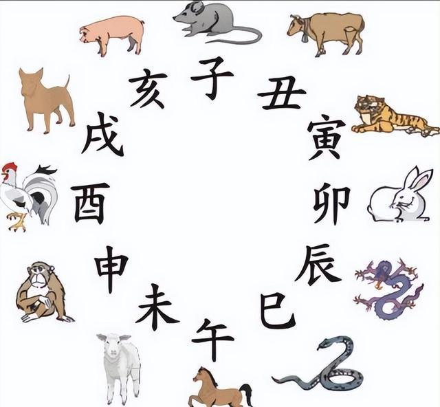 立春,打一个生肖,立春打一个生肖最佳答案