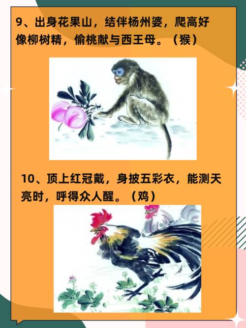 干字指什么生肖,干字的干什么意思