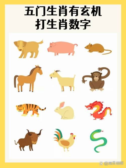 六字有玄机是什么数字,六字有玄机是什么数字啊