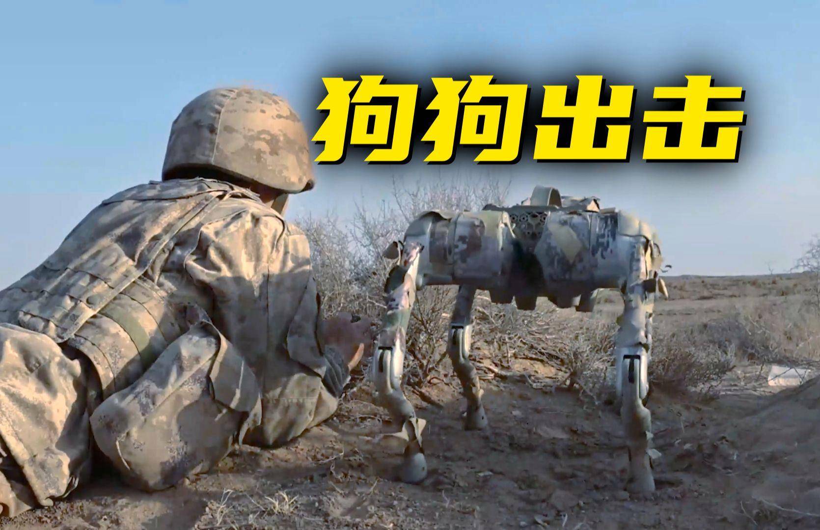 机器狗的技能值已经拉满了的简单介绍