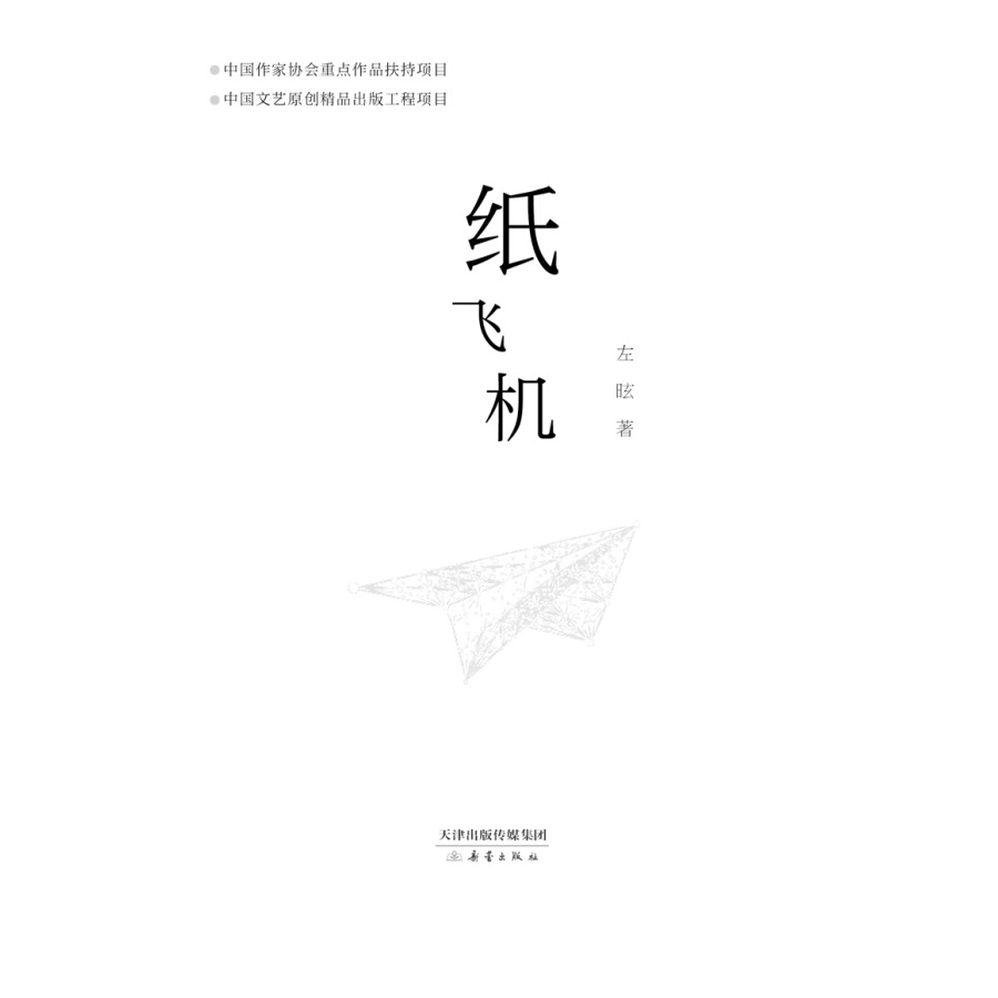 纸飞机小说有车吗,纸飞机小说有没有肉