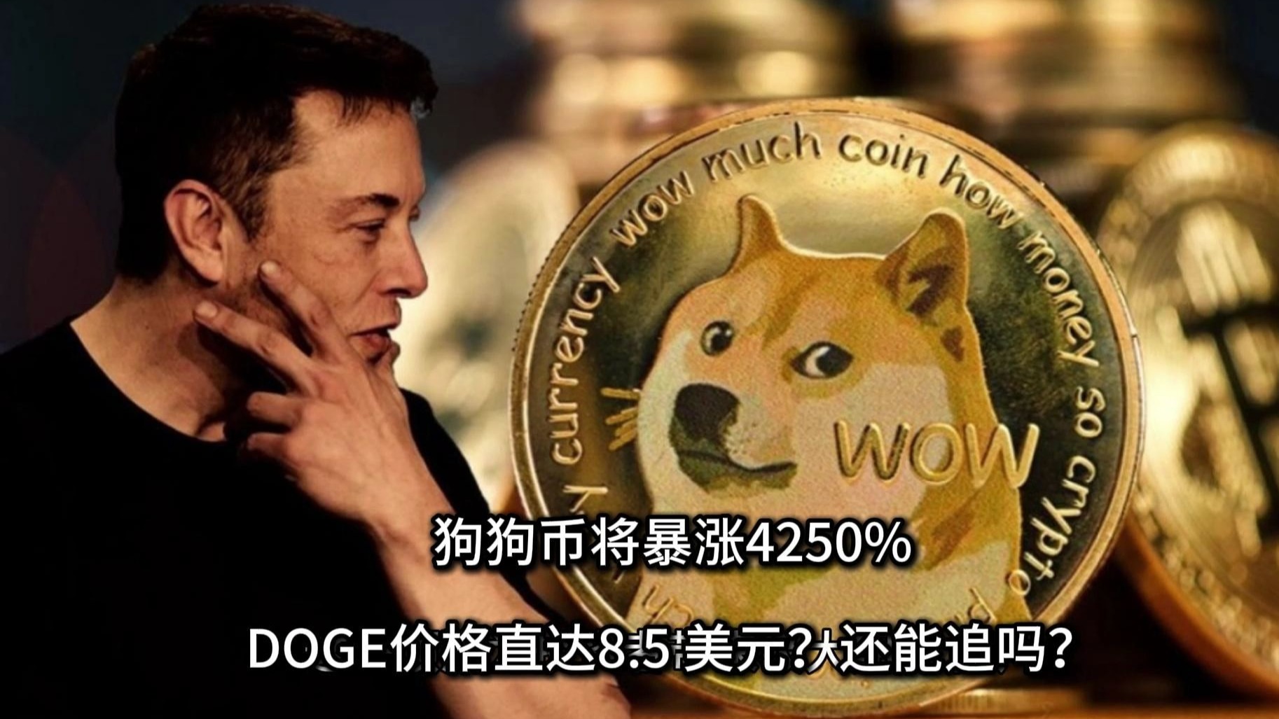 狗狗币能涨到5美元吗,狗狗币能涨到10美元吗
