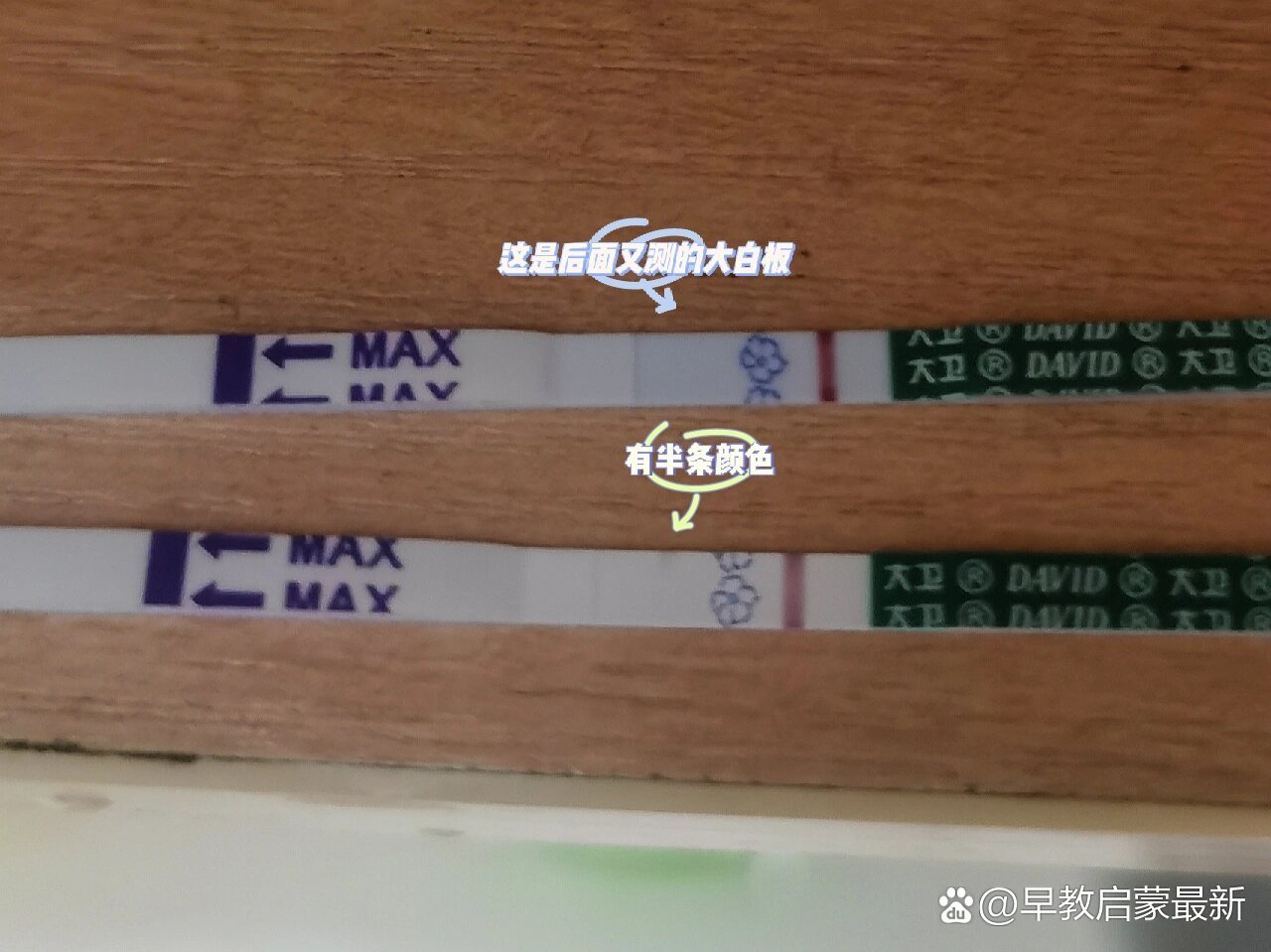 半条什么意思,半条命标志什么意思