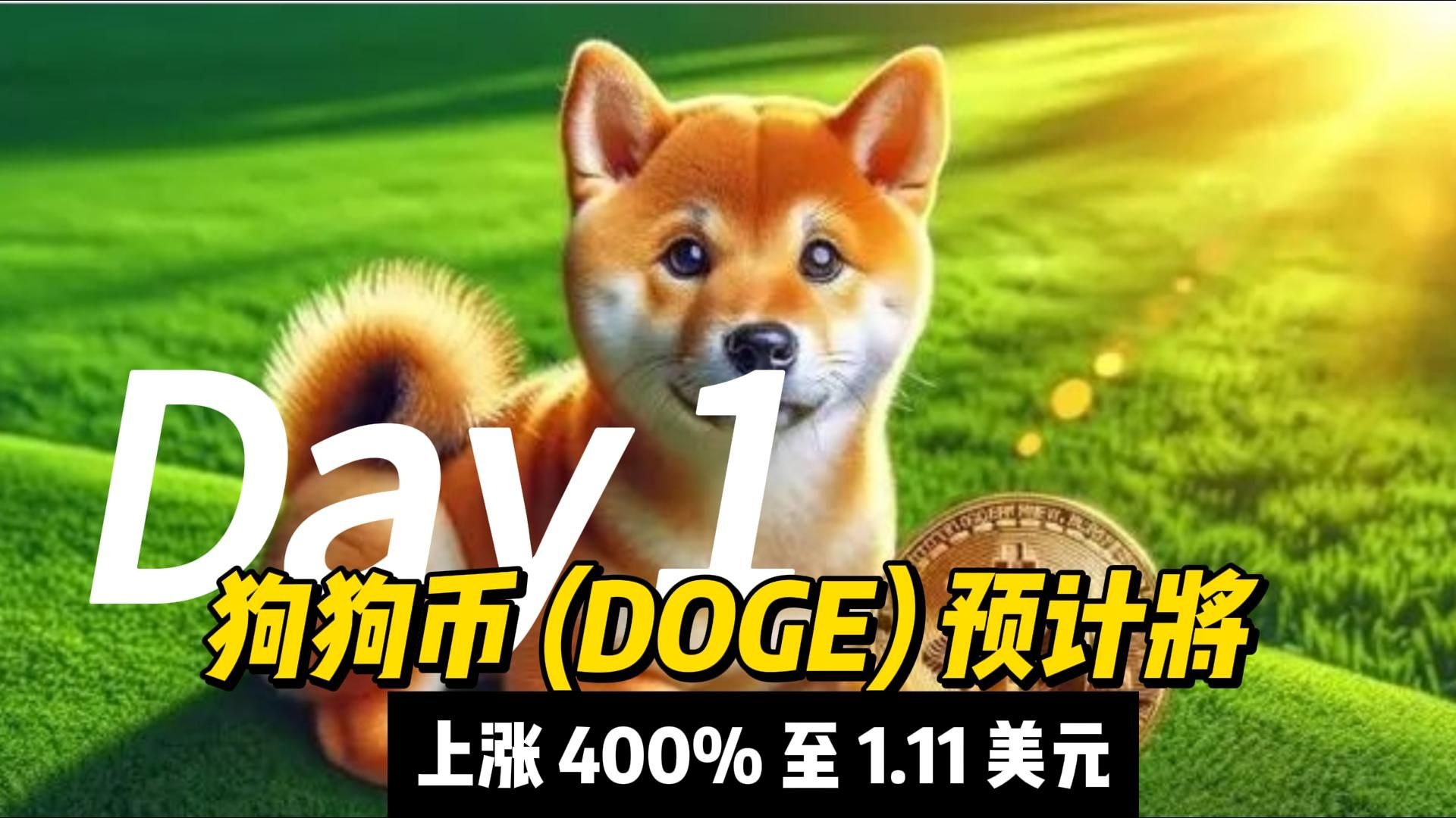 狗狗币交易今日价格美金,狗狗币今日20美元购买价格