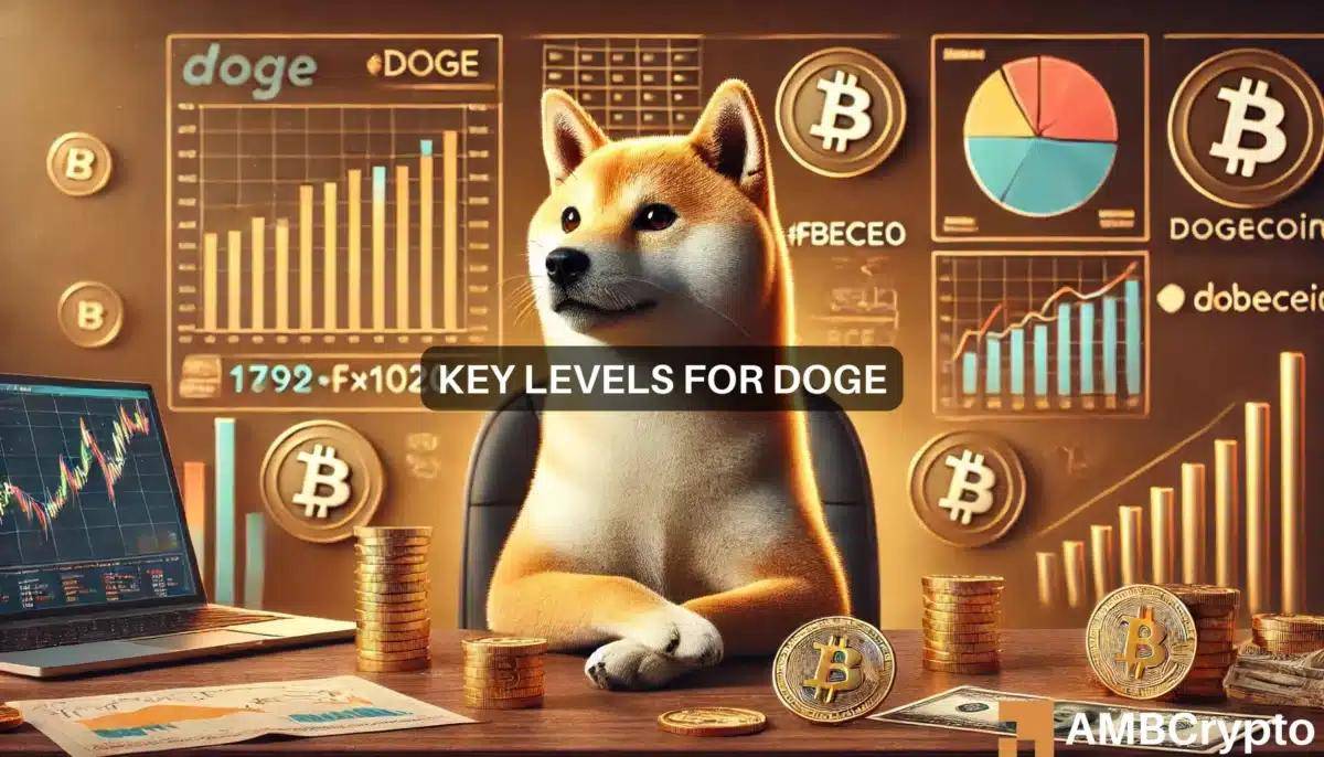 狗狗币大涨200%,狗狗币大涨74倍后崩了