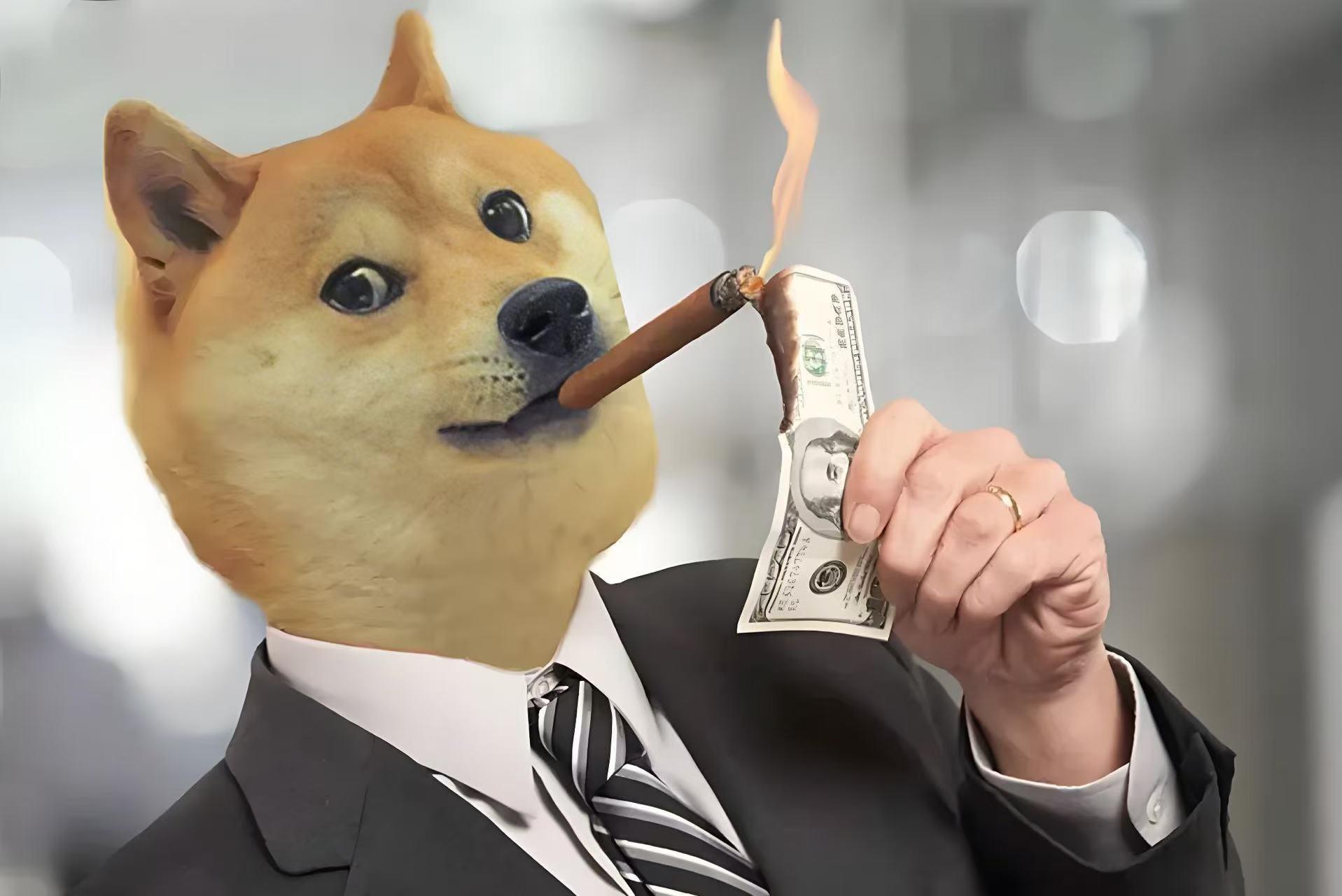 狗狗币今天的最新价格行情,狗狗币价格今日行情走势分析