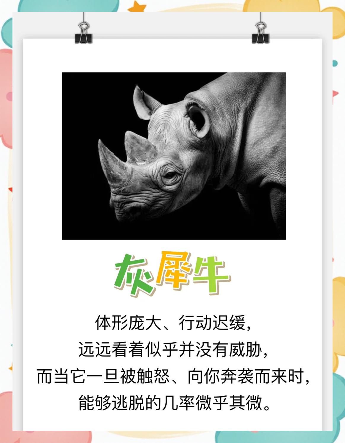 六字出玄机打一准确动物,今期六字出玄机是什么意思