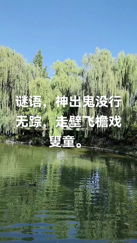 亡羊补牢也能发猜一准确生肖,亡羊补牢什么生肖求正确答案?