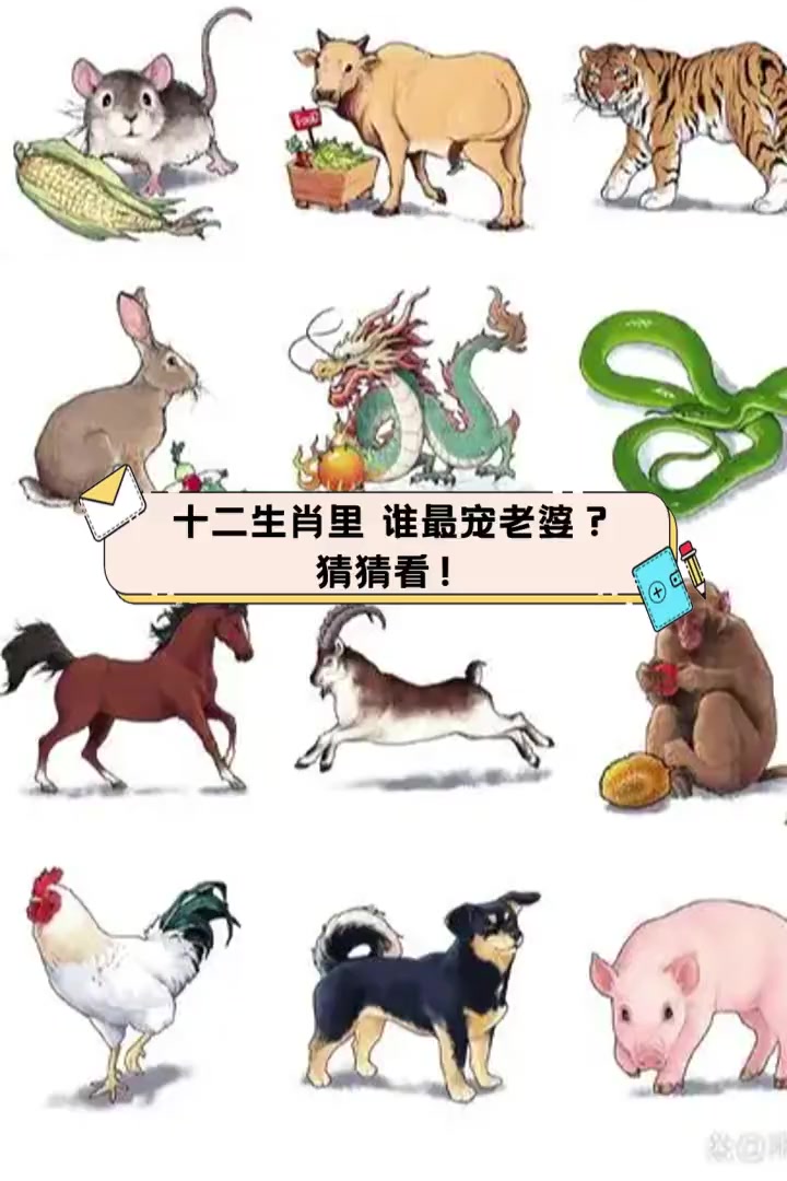 今期玄机三六点猜生肖,今期玄机三点九打一数字