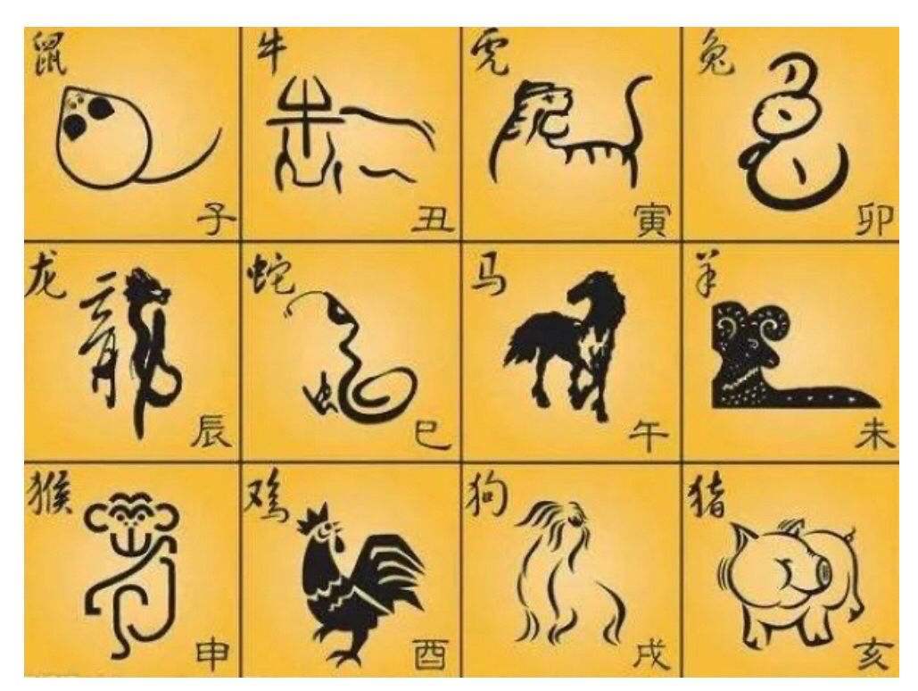 星期六猜生肖,星期六买什么生肖中奖