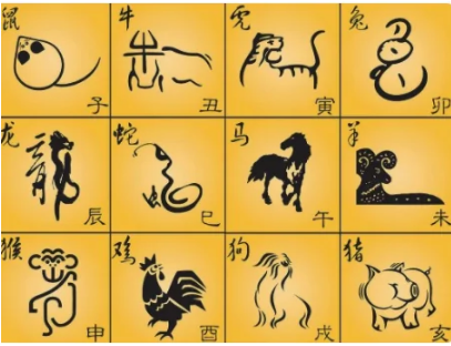 6合玄机是什么生肖的动物,6合玄机是什么生肖的动物呢