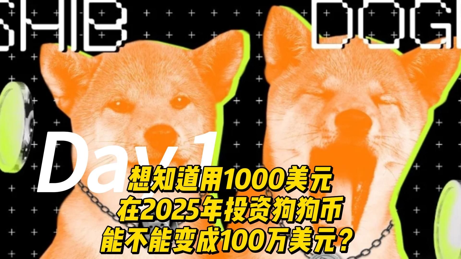 狗狗币今日多少美元,狗狗币今日多少美元一个