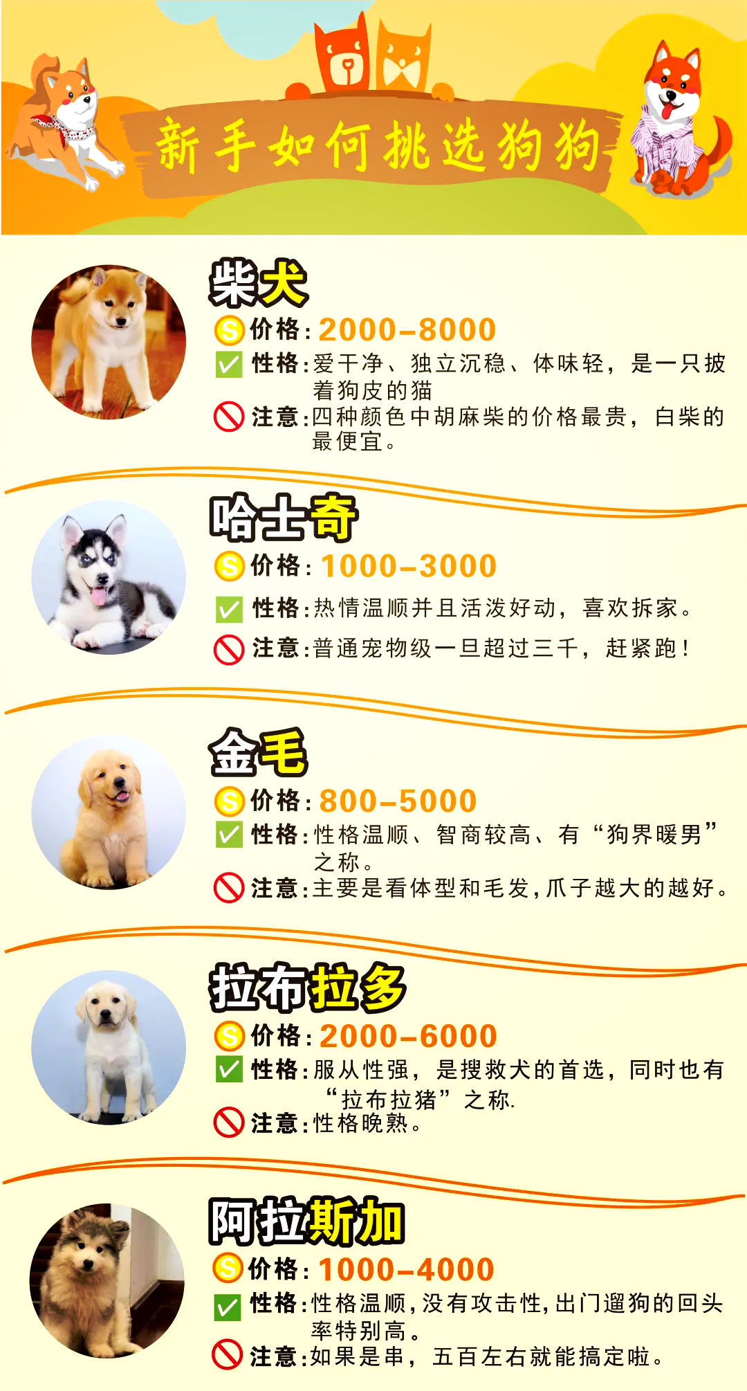 狗狗币行情最新价格,狗狗币实时价格行情走势图
